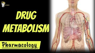 PHARMACOLOGY  Biotransformation of drugs made super easy DRUG METABOLISM [upl. by Leumas]