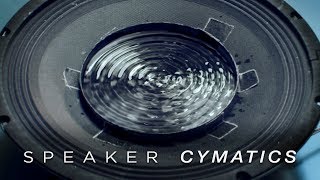 Cymatics Speaker Dish [upl. by Miof Mela]