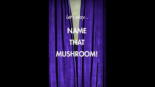 Name That Mushroom [upl. by Attesor]