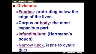 Anatomy of the biliary system [upl. by Follmer]