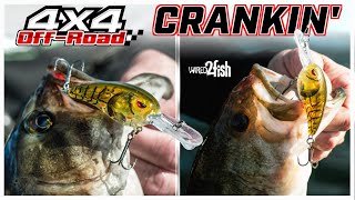 Power Cranking SPRO Rock Crawlers for Cold Water Bass [upl. by Leckie]