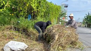 Two Crazy Guys Clear Overhanging Grass and Overgrown Sidewalks Unexpectedly Useful [upl. by Selinda]