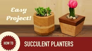 How to Make Succulent amp Cactus Planters [upl. by Nedarb885]