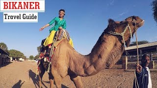 Bikaner  Rajasthan Travel Guide  Things to Do [upl. by Thorpe249]