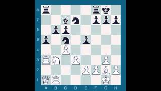 ChessMaster GME Larry Christiansen vs Chessmaster 9000 Game 4 [upl. by Nazay]