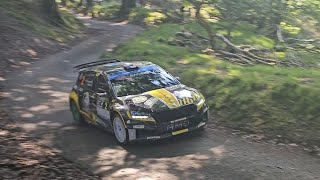 Best of Rali Ceredigion 2024 Qualifying and shakedown [upl. by Wiseman]