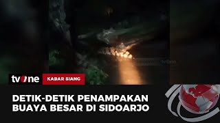 Geger Penampakan Buaya Besar di Sungai Kedungpeluk Sidoarjo  Kabar Siang tvOne [upl. by Jezabelle]