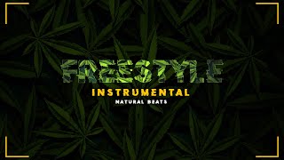 PISTA DE RAP  FREESTYLE 26  INSTRUMENTAL DE HIP HOP PARA IMPROVISAR  NATURAL BEATS [upl. by Yesdnyl]