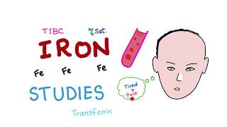 Iron Studies  Serum Fe TIBC ferritin amp Transferrin  Saturation [upl. by Sheena]