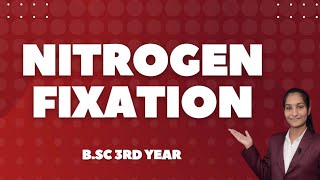 Nitrogen Fixation  Part 12  Bioinorganic Chemistry By Priti Mam [upl. by Annairdna]