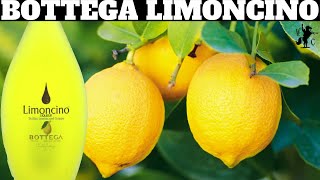 Bottega Limoncino Liqueur Review [upl. by Monk984]