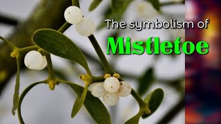 The symbolism of Mistletoe [upl. by Skees]