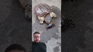 De lenta não tem nada 🐢 [upl. by Tillo]