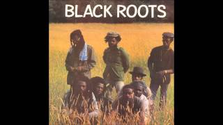 Black Roots  Black Roots full album [upl. by Assetan813]