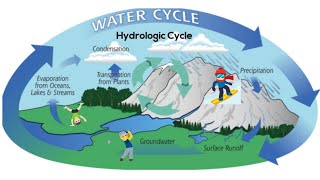 The water hydrologic cycle [upl. by Lleral]