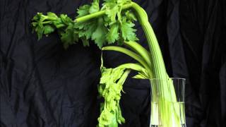 Extremely Dramatic Celery Time lapse HD [upl. by Licht]