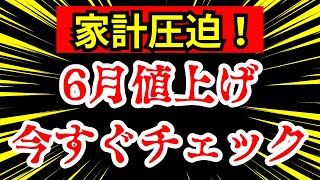 【値上げ】6月から値上がりする主要商品を紹介！ [upl. by Ikkiv]