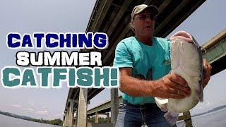 How To Catch Catfish In The Summer  Catfishing Techniques To Try [upl. by Nerred]