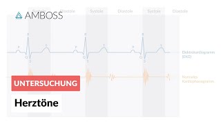 Physiologische Herztöne  AMBOSS  Video [upl. by Anesor]