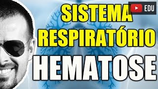 Vídeo Aula 105  Anatomia Humana  Sistema Respiratório  Hematose A Troca de Gases nos Pulmões [upl. by Ogata]