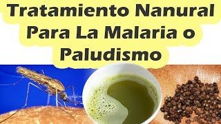 TRATAMIENTO PARA EL PALUDISMO Como Prevenir La Malaria o Combatirla Rápidamente [upl. by Held109]