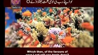 Surah Ar Rehman n° 55 Urdu amp English Translate By Qtv [upl. by Zilla384]