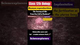 Part 1  Human reproduction class 12 Biology chapter 3ncert neet cbse sciencexplorero [upl. by Nagel]