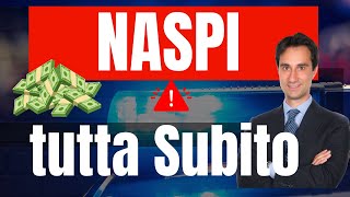 PARTITA IVA E DISOCCUPAZIONE GUIDA SU COME FARE DOMANDA DI NASPI ANTICIPATA Tutorial completo 2024 [upl. by Eilema392]