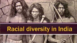 Racial groups in India  Indian History for Civil service exams  Racial diversity [upl. by Aicilaf962]