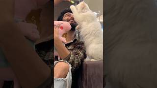 Ghar mai ek or Rani 🐈 Aayi ❤️ ashortaday tranding cat viralcat catvideo minivlog viralshort [upl. by Maxa911]