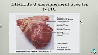 Lenseignement de lanatomie et de la physiologie du corps humain [upl. by Lessur]