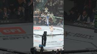 Chimaev vs Whittaker ufc mma мма chimaev [upl. by Euqnimod237]