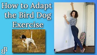 How to Adapt the Bird Dog Exercise  Strengthen Your Back after a Spinal Compression Fracture [upl. by Sibeal]