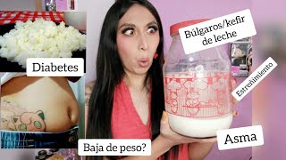 Baje de peso con los Búlgaros o kefir de leche Beneficios Cómo preparar los búlgaros [upl. by Aihsinyt]