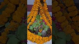 hareramaharekrishnaharharmahadevॐvrindavansirsayoutubeshortsreels [upl. by Enyar]