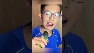 Boy Uses Parrot for Tooth Extraction [upl. by Ruelu797]