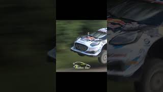 WRC Secto Rally Finland 2024 shorts rally [upl. by Junji735]