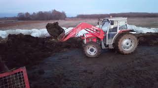 Massey Ferguson 375 Turbo [upl. by Nyret926]