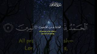 Surat AlFatihah The OpenerBeautiful Recitation [upl. by Elisabet]