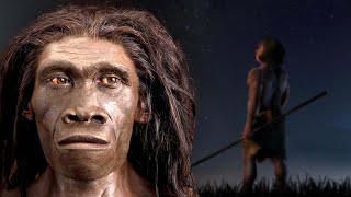 A Brief History Of The Most Successful Human Species Homo Erectus [upl. by Swart561]