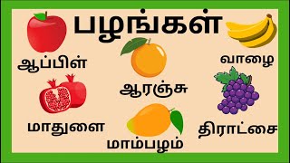 Palangalin peyargal  Fruits name in Tamil for kids  பழங்களின் பெயர்கள் [upl. by Savinirs563]