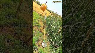 bajare se chidiya udane ka free energy jugaad  Zero kharcha shorts jugaad agriculture [upl. by Novi128]