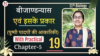 L19 बीजांडन्यास एवं उसके प्रकार Placentation with practical  अध्याय5 पुष्पी पादपों की आकारिकी [upl. by Constance]