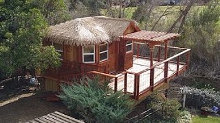 Treehouses Custom treehouse building companies in california  tiny houses adult treehouses [upl. by Annohsak]