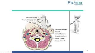 USG Guided Stellate Ganglion Block [upl. by Emelin]