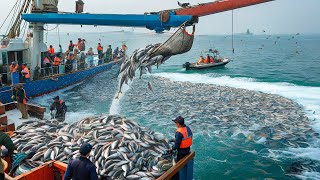 Massive Fish Hauls The Power of Trawling Capturing Hundreds of Tons of Fish in a Single Voyage [upl. by Ttevi710]