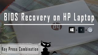 HP Laptop BIOS Recovery Using Keypress Combination On Keyboard  Computer Tips [upl. by Orlan645]