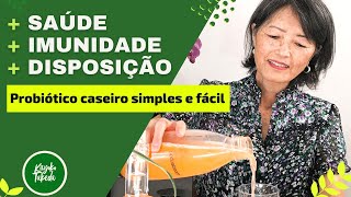 Probióticos para INICIANTES  Receita caseira SIMPLES e FÁCIL  Rejuvelac [upl. by Alenoel]