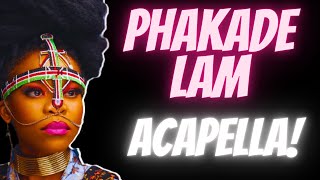 Nomfundo Moh  Phakade Lami Acapella [upl. by Edbert]