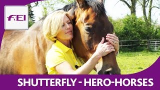 Shutterfly amp Meredith MichaelsBeerbaum  Hero Horses [upl. by Uchish]